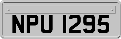NPU1295
