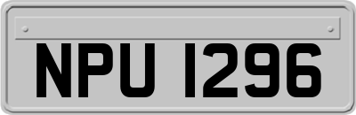 NPU1296