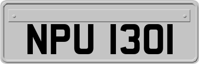 NPU1301