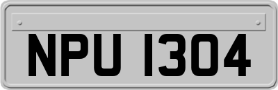 NPU1304