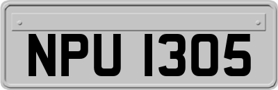 NPU1305