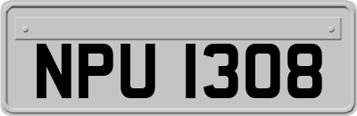 NPU1308