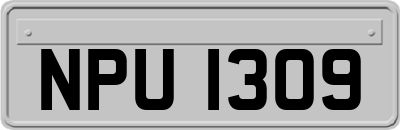 NPU1309