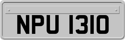 NPU1310