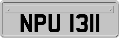 NPU1311