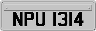 NPU1314