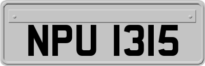 NPU1315