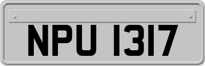 NPU1317