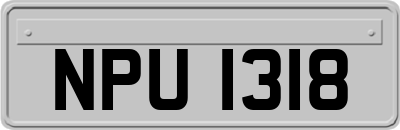 NPU1318