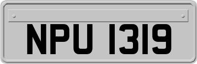 NPU1319