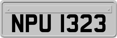 NPU1323