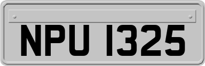 NPU1325
