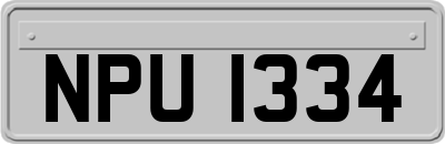 NPU1334