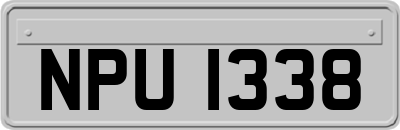 NPU1338