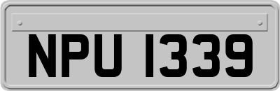 NPU1339