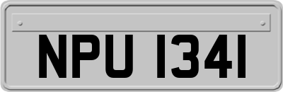 NPU1341