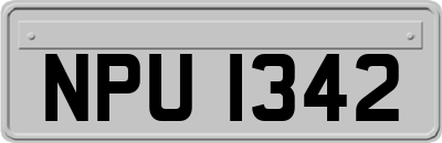 NPU1342