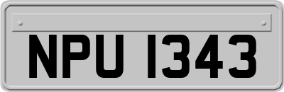 NPU1343