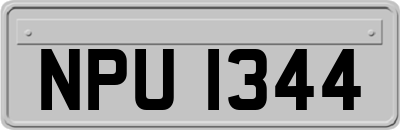 NPU1344
