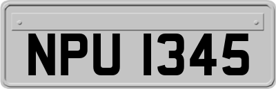 NPU1345