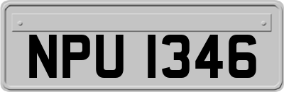 NPU1346