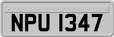 NPU1347