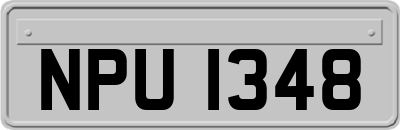 NPU1348