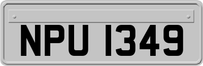 NPU1349