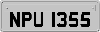 NPU1355