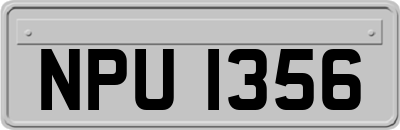 NPU1356