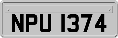 NPU1374