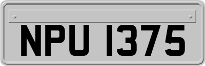 NPU1375