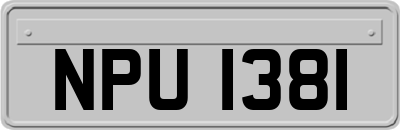 NPU1381
