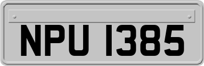 NPU1385