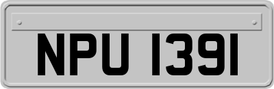 NPU1391