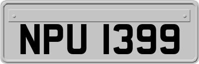 NPU1399