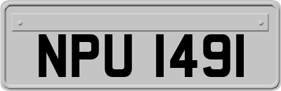 NPU1491