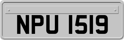 NPU1519