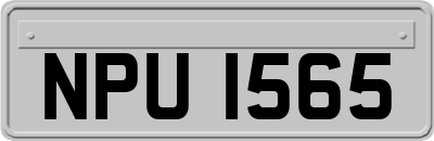 NPU1565