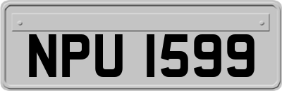 NPU1599