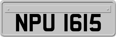 NPU1615