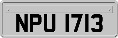 NPU1713