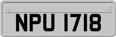 NPU1718