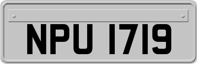 NPU1719