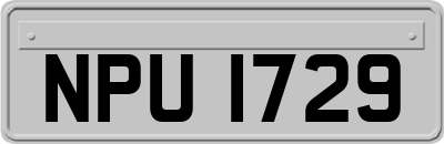 NPU1729
