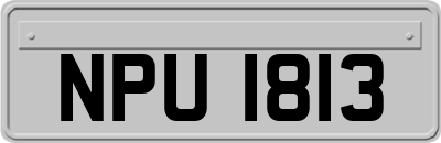 NPU1813