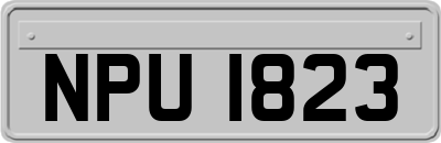 NPU1823