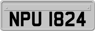 NPU1824