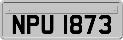 NPU1873