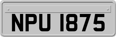 NPU1875